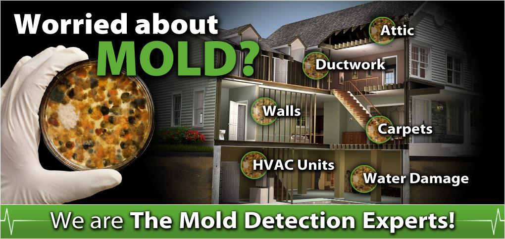 Worried about mold? We are the mold detection experts!